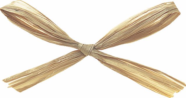 ラフィットヤーン 91m 色番23