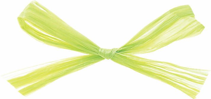 ラフィットヤーン 91m 色番27