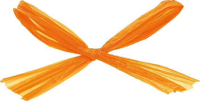 ラフィットヤーン 91m 色番37