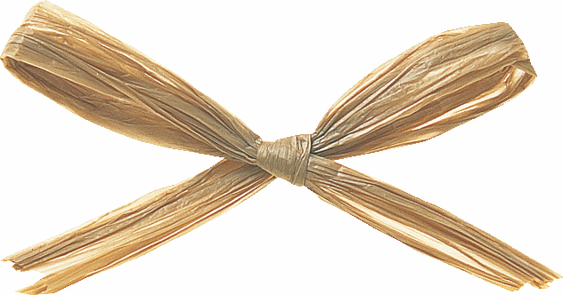 �̨��԰� 91m �F��38