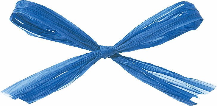 ラフィットヤーン 91m 色番49