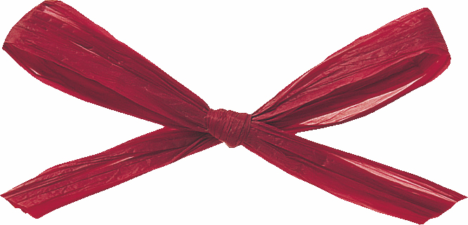 ラフィットヤーン 91m 色番53