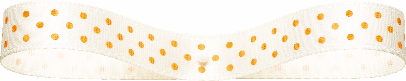 プチドット9X30M