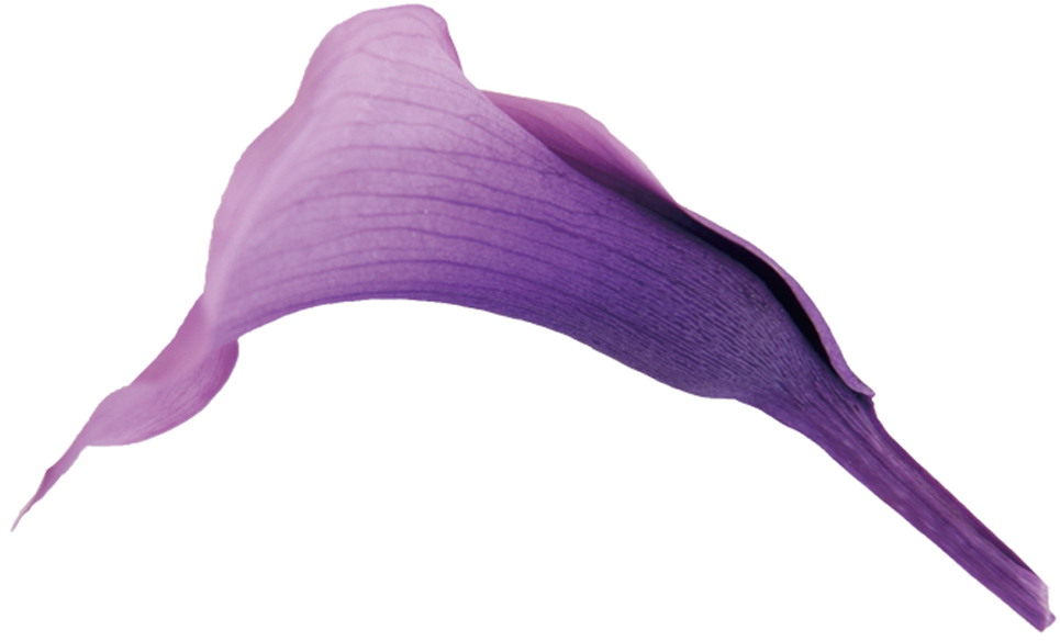 Verdissimoミニカラー リラ