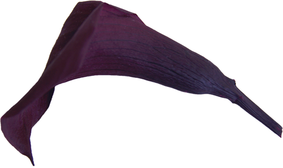 Verdissimoミニカラー ブラックベリー