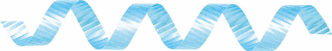 カーリングリボン 5X約500m 色番14