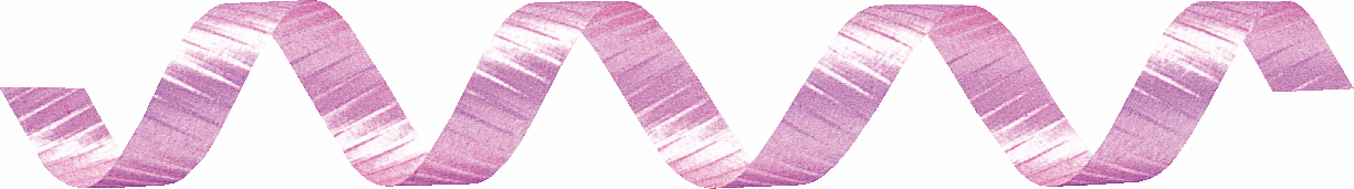 カーリングリボン 5X約500m 色番22