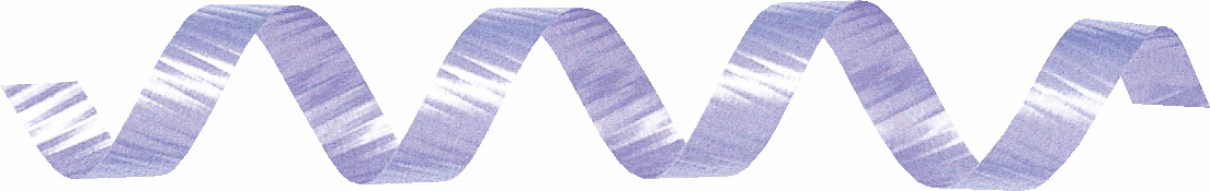 カーリングリボン 5X約500m 色番25