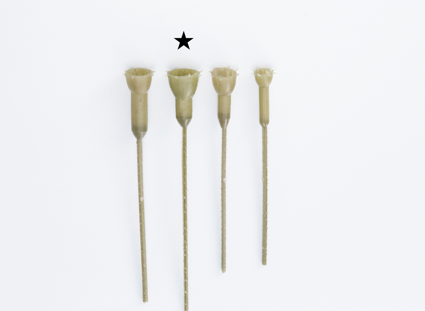 �y�p�ԁzƭ�۰�޽�ѥL �ذ�޸�ذ�