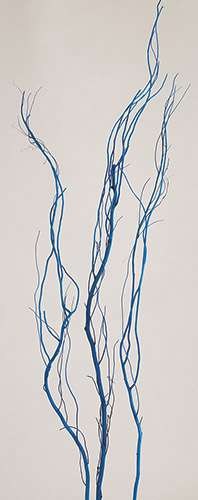 うんりゅう柳 海