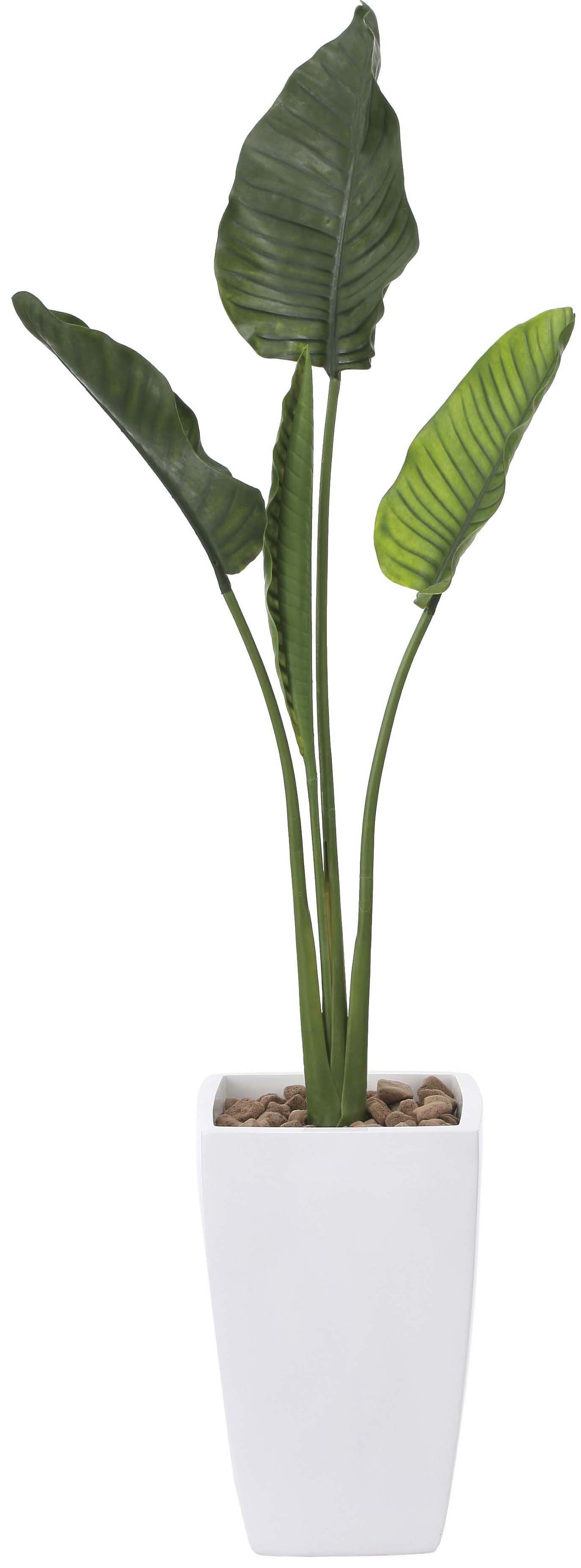 【メーカー仕様切替の為廃盤】【送料別途】オ―ガスタ1.75