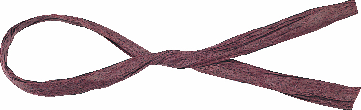 コンビタイ 約3X12C/200本 色番6