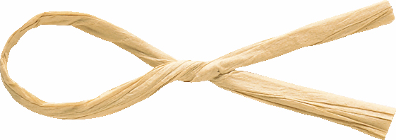 コンビタイ 約3X12C/200本 色番10