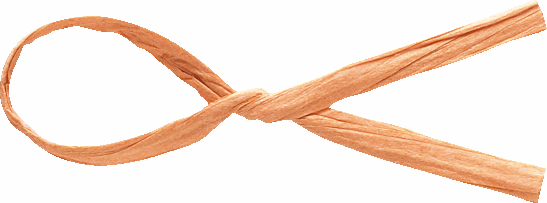 コンビタイ 約3X12C/200本 色番26