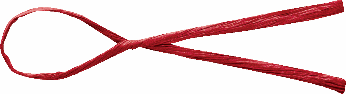 コンビタイライト 約3X16cm/100本 色番2