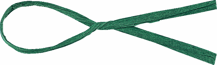 コンビタイライト 約3X16cm/100本 色番36