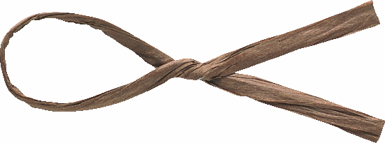 コンビタイライト 約3X16cm/100本 色番50