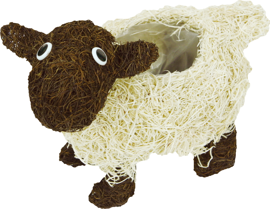 �A�j�}���o�X�P�b�g�@�q�c�W