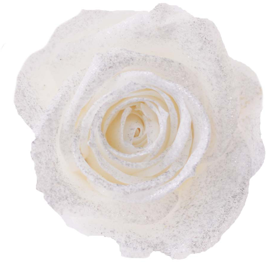 PMバースローズ ダイヤモンド