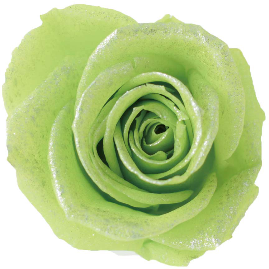 PMバースローズ ペリドット