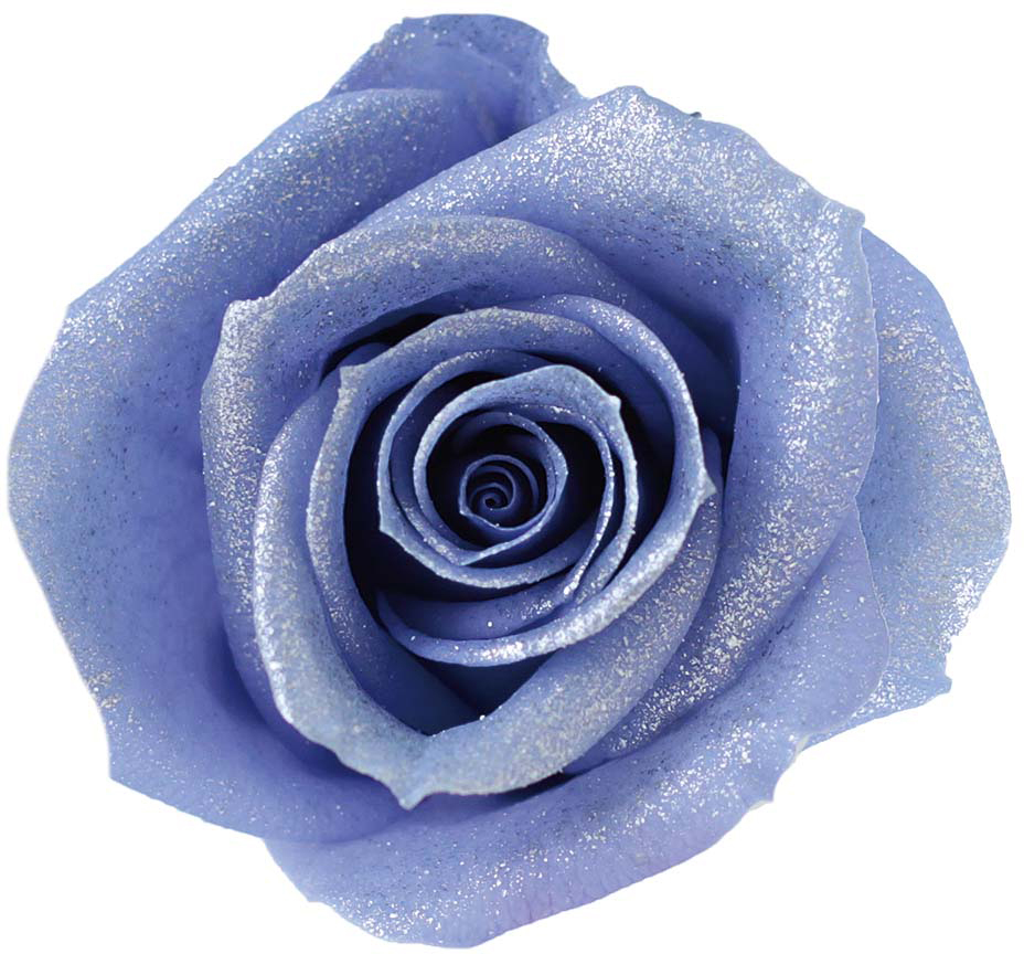 PMバースローズ タンザナイト