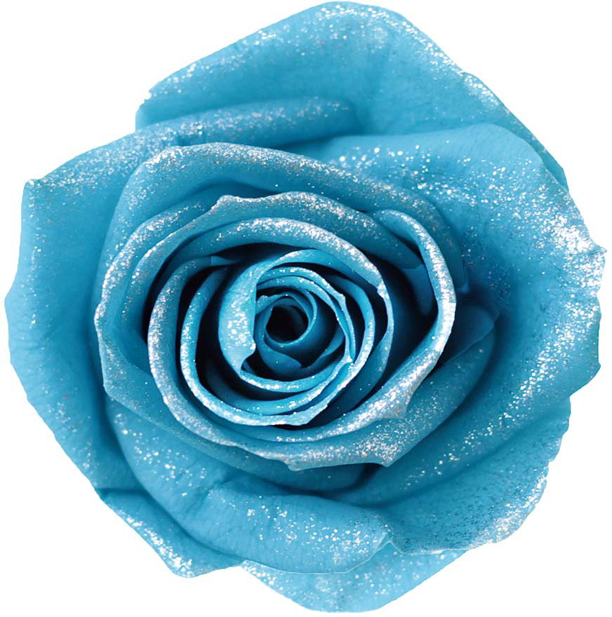 PMバースローズ ブルートパーズ