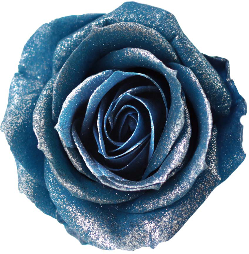 PMバースローズ サファイアブルー