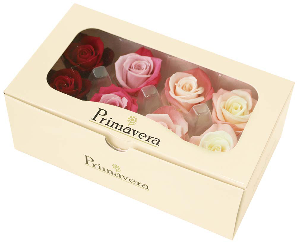 PMニーナキャンディーアソート ルージュパレット