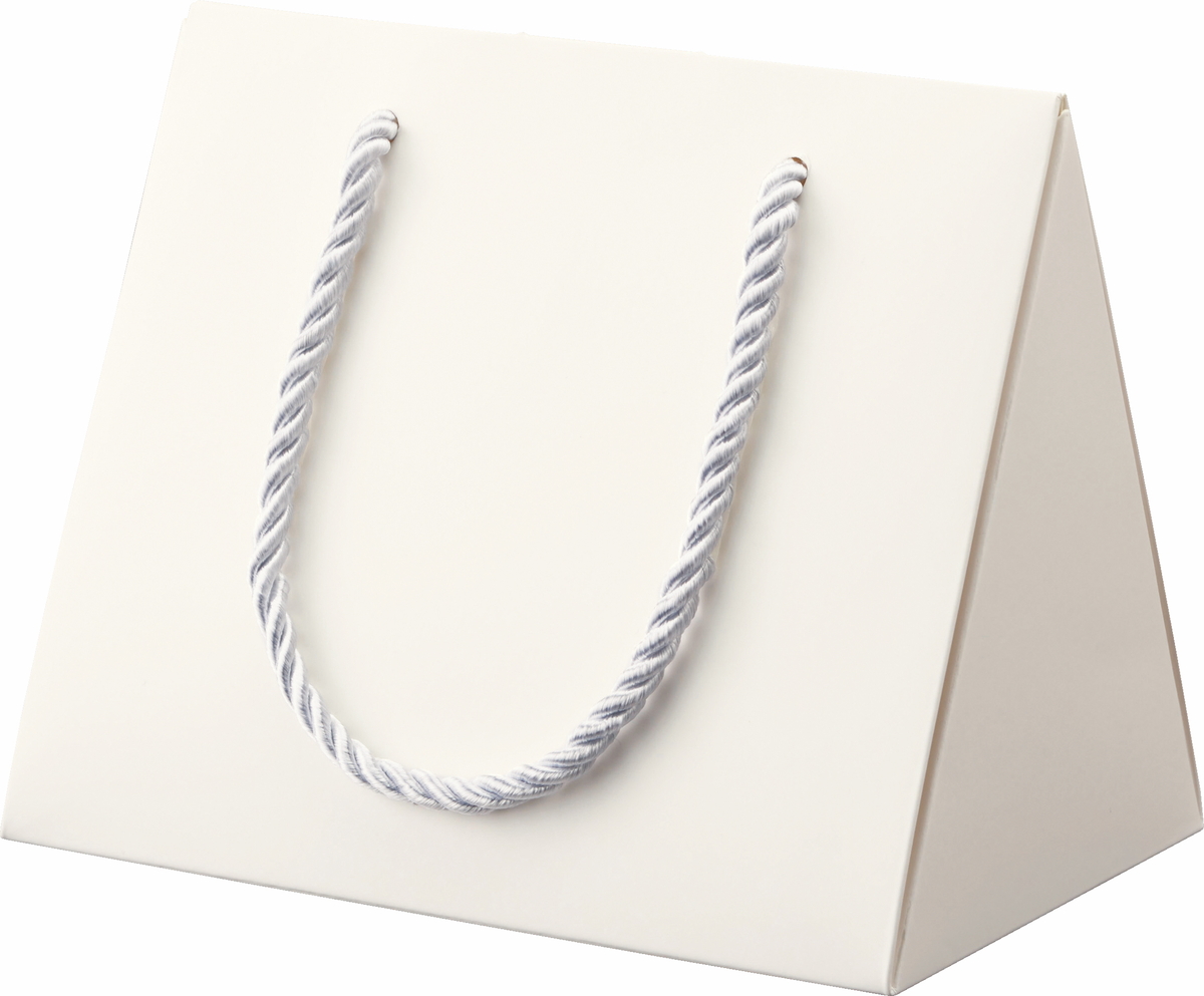 【廃番】ハンディバッグBOX/25コ