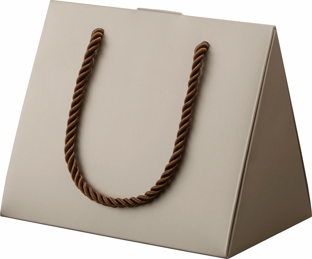 【廃番】ハンディバッグBOX/25コ