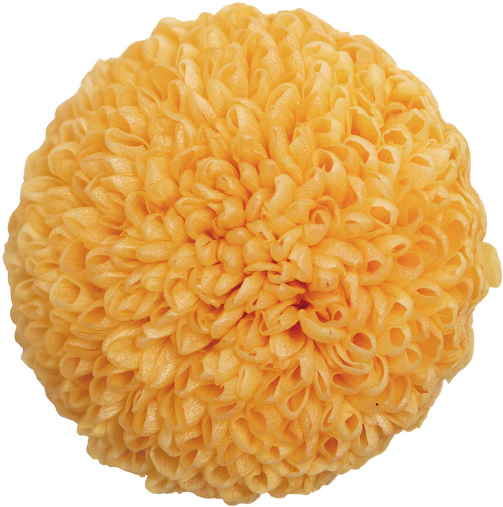 Primavera ポンポンマム ピーチ