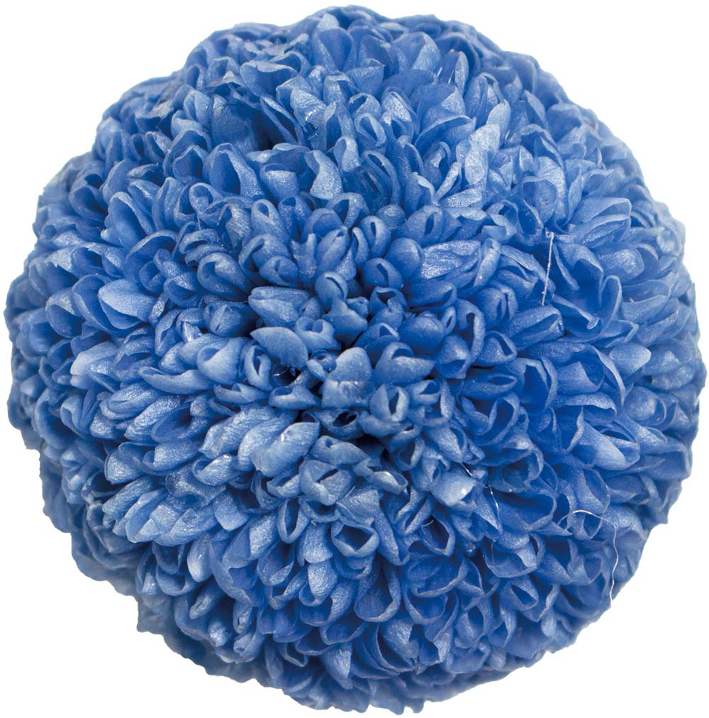 Primavera ポンポンマム ブルー