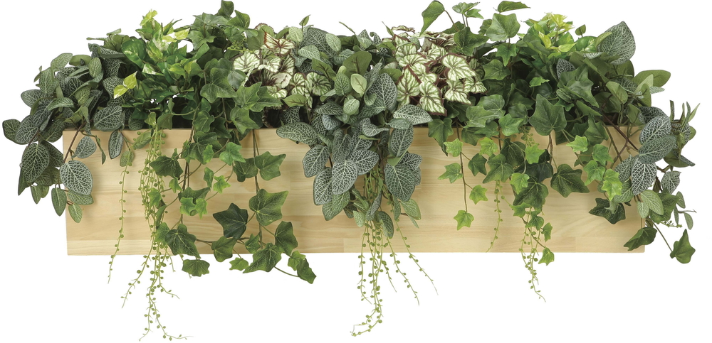 【送料別途】ボックスウッドL