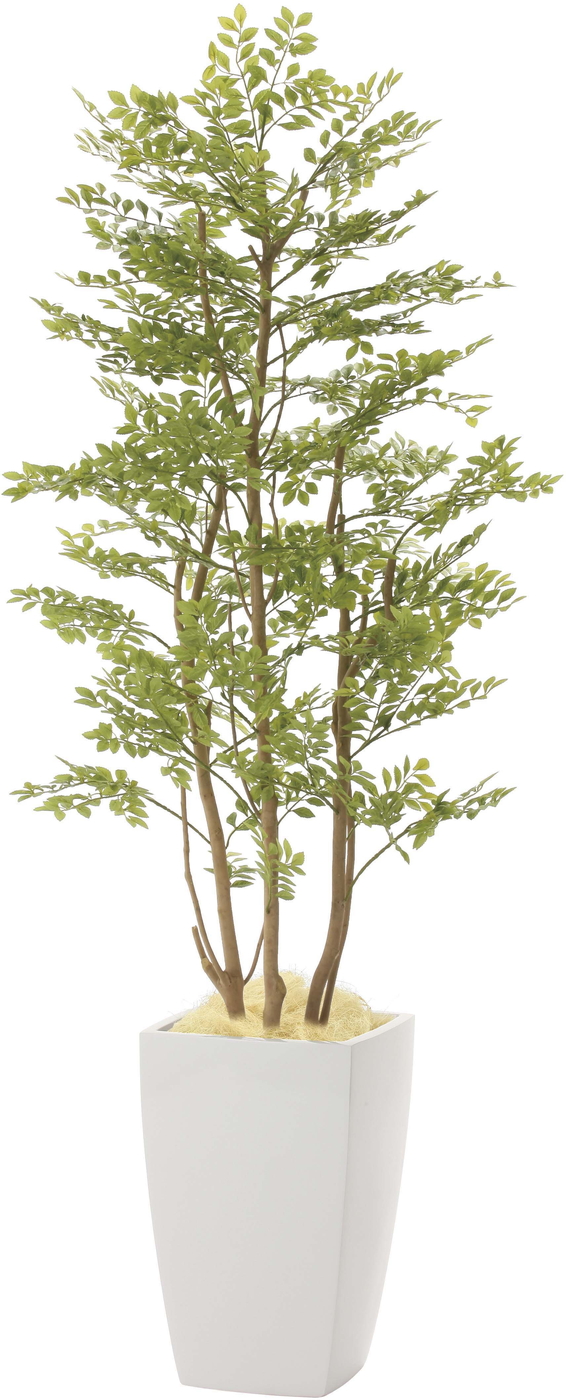 【メーカー仕様切替の為廃盤】【送料別途】ア-バンゴ-ルデンリ-フ1.8