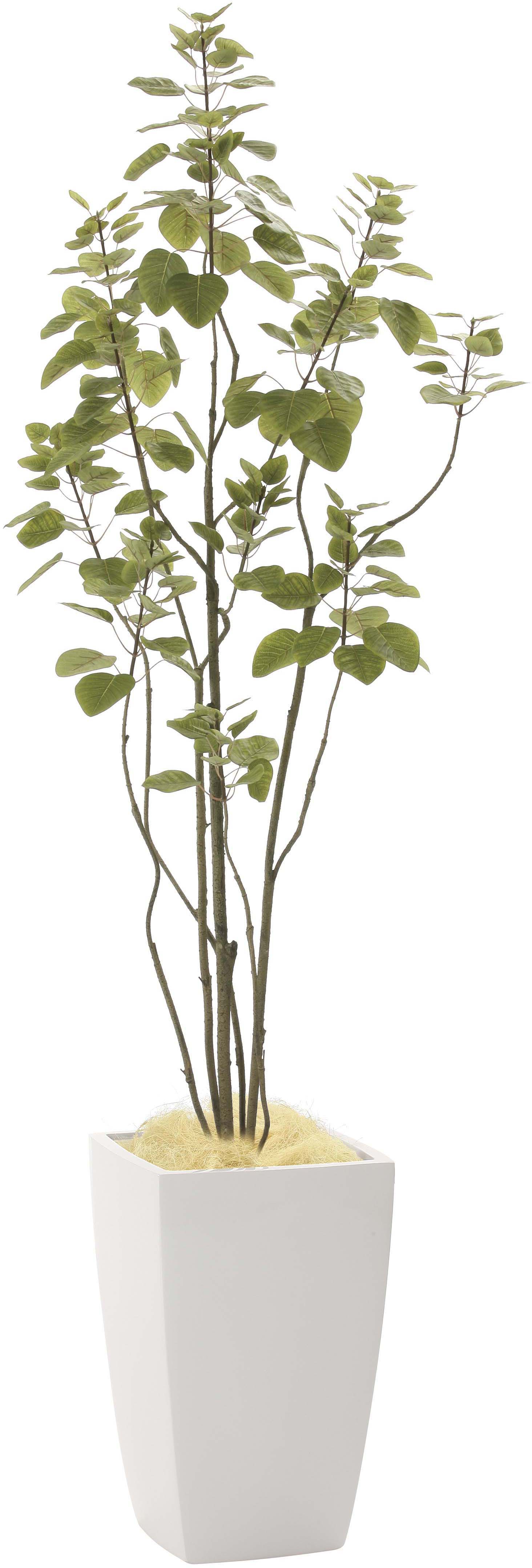 【メーカー仕様切替の為廃盤】【送料別途】ア-バンブランチツリ-1.8