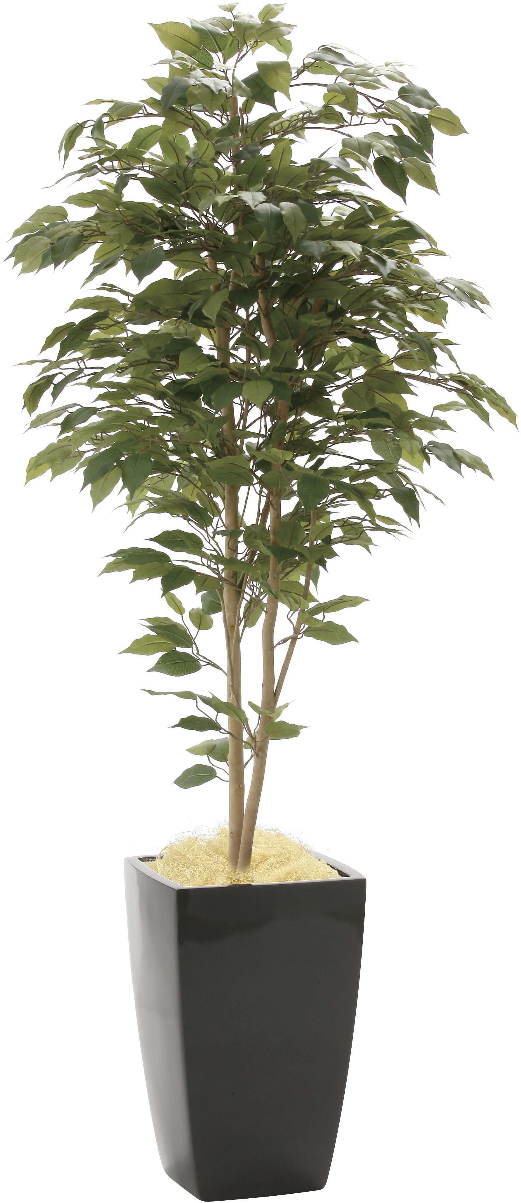 【メーカー仕様切替の為廃盤】【送料別途】ア-バンベンジャミン1.8