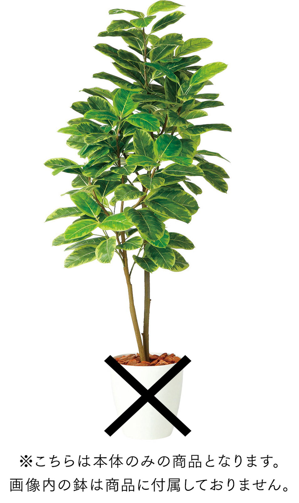 �y�����ʓr�z�A���e�V�} FST 150cm [�{��]