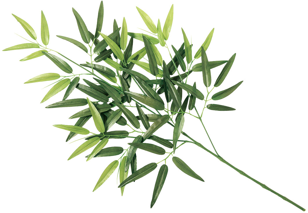 �y�����ʓr�z�|���[�tC 73cm [�X�v���[]