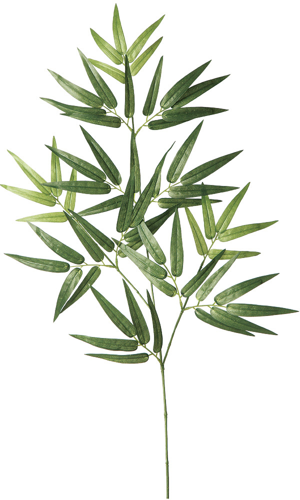 �y�p�ԁz�y�����ʓr�z�|ذ�D 75cm [���ڰ]