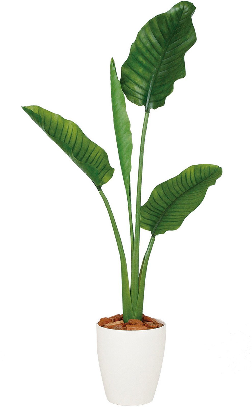 �y�����ʓr�z�X�g�����`�A��I�[�K�X�^ 130cm [RP-225]�o�[�N�t