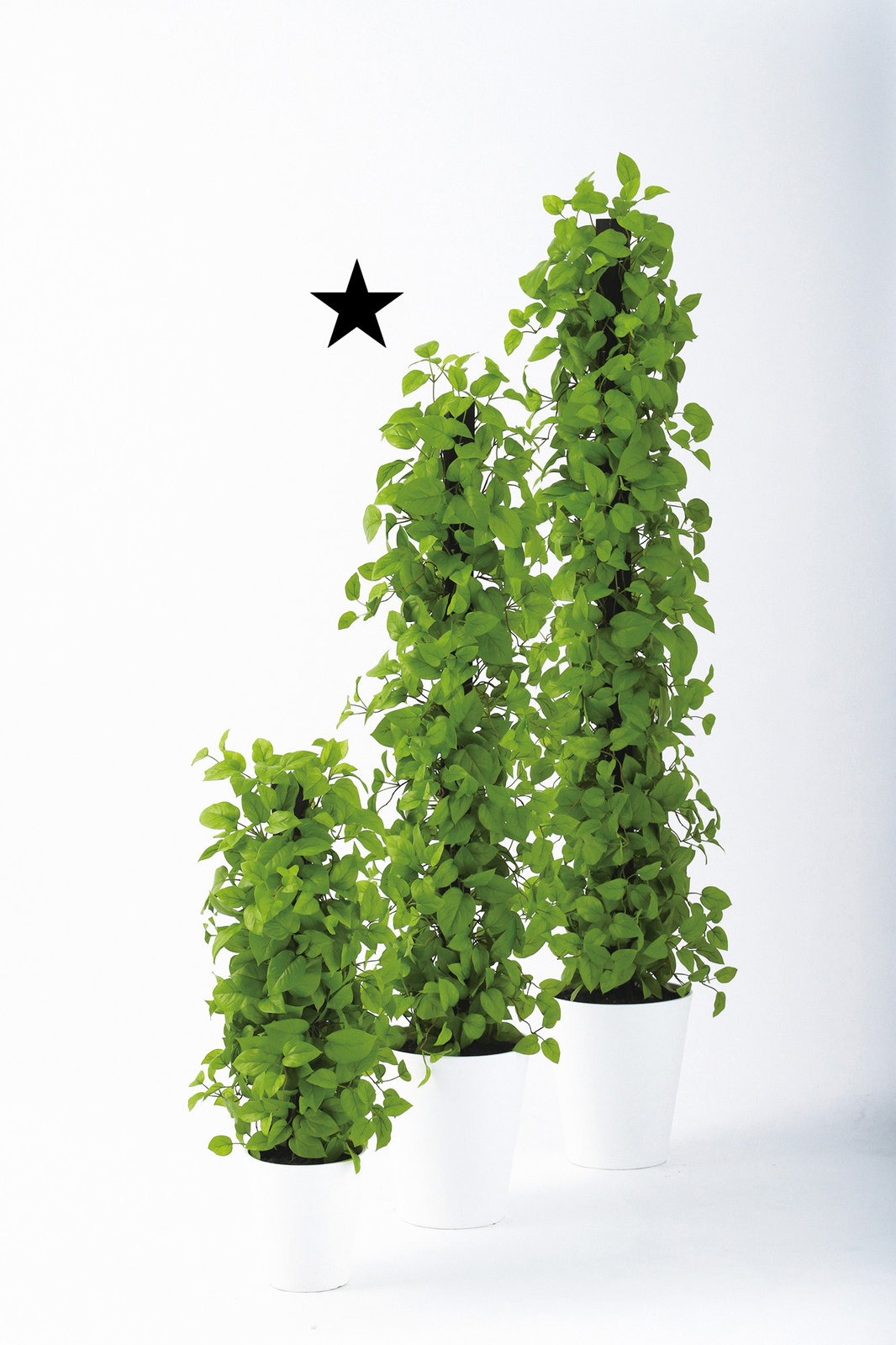 �y�����ʓr�zײ���Ľͺ�