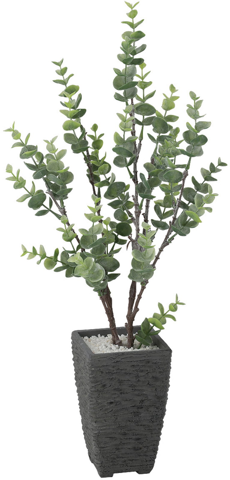 【送料別途】ユーカリポット