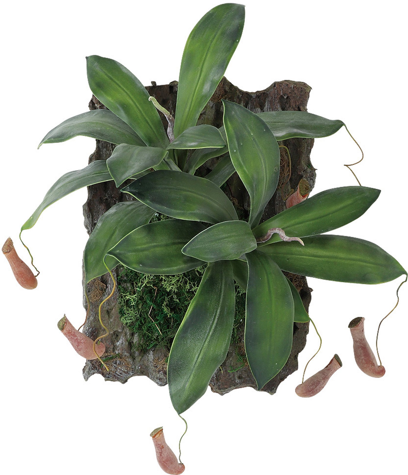 �y�����ʓr�z���޶��� �޺