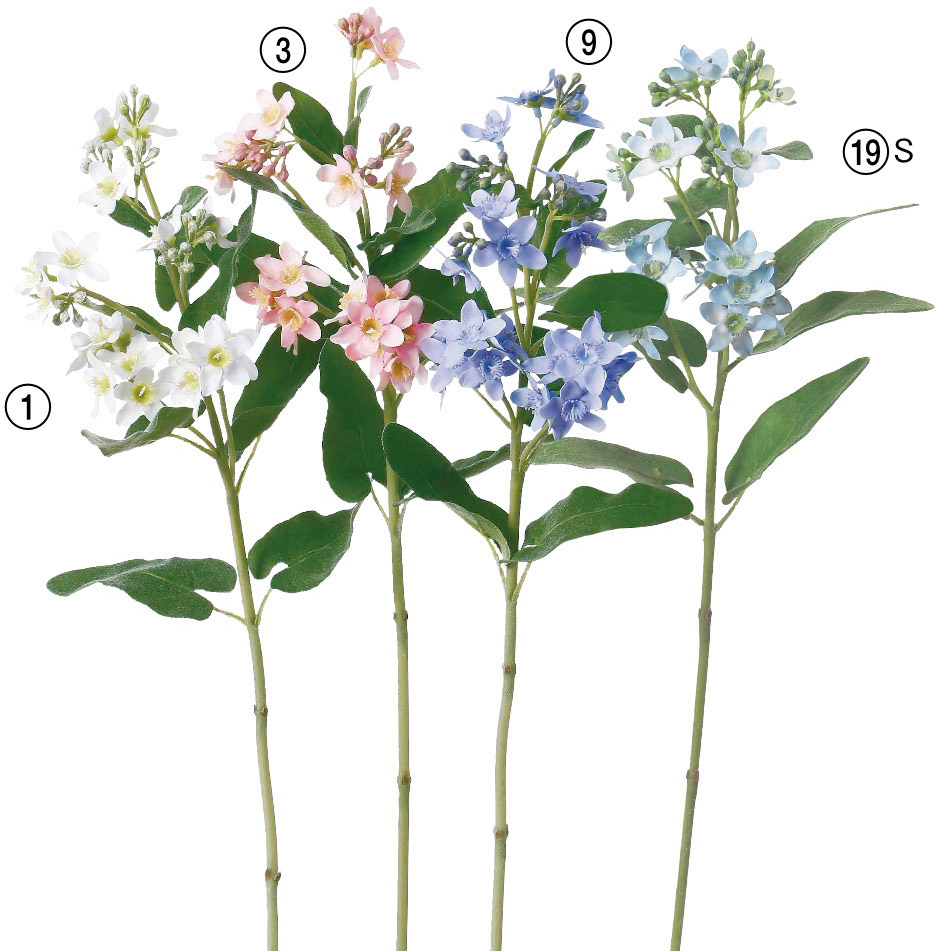 ��ٰ���×20