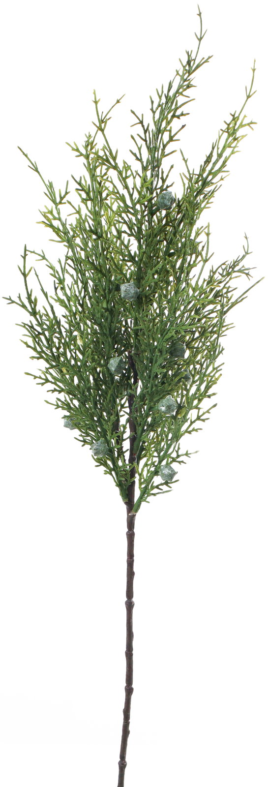 ���ް���ڰ