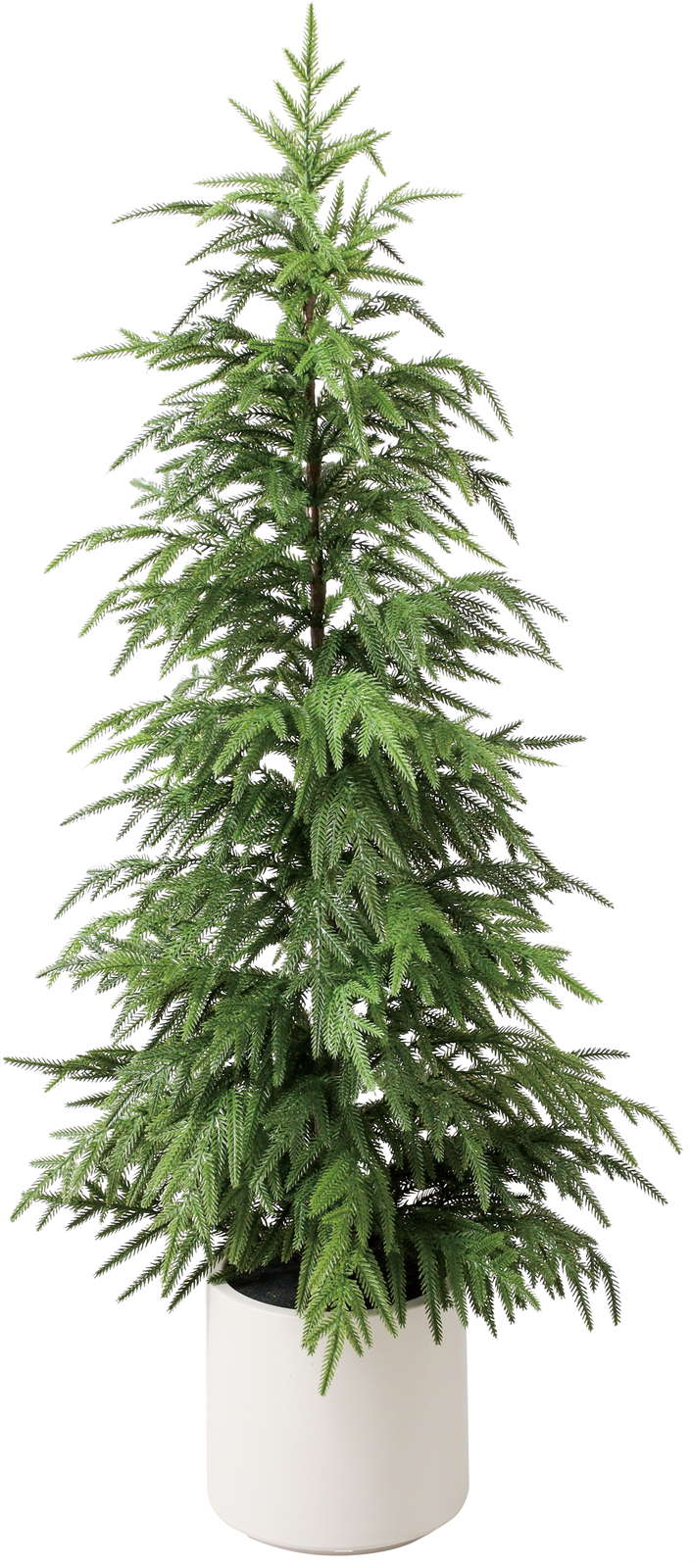 く15000 120cm߲ذ߯