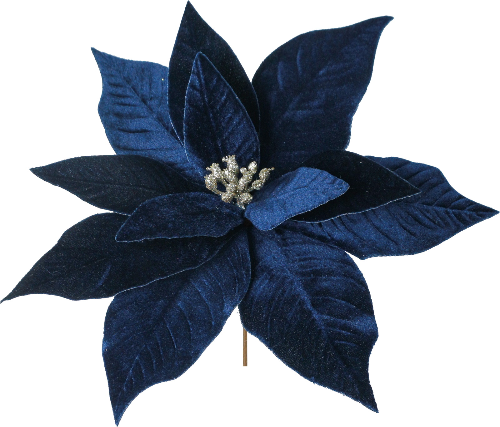 د��߲ݾ���߯�BLU