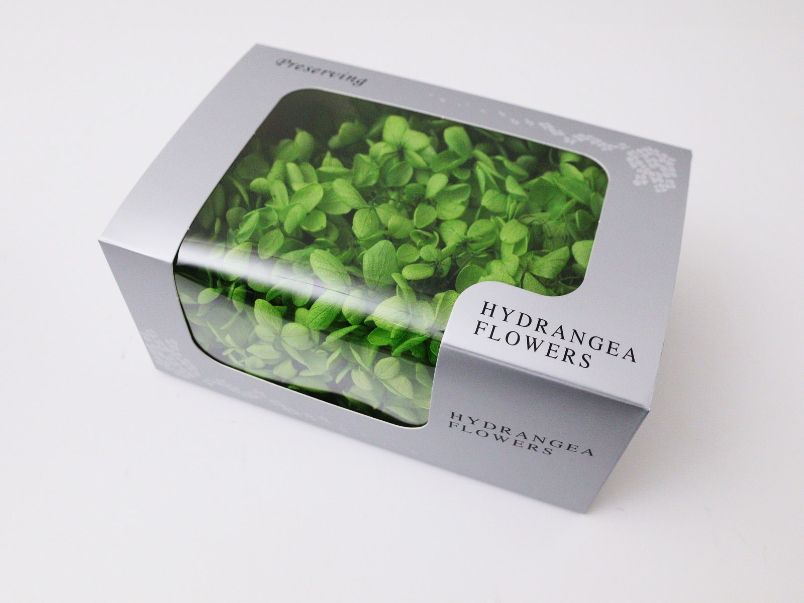 �����Я�ޱ�޻�