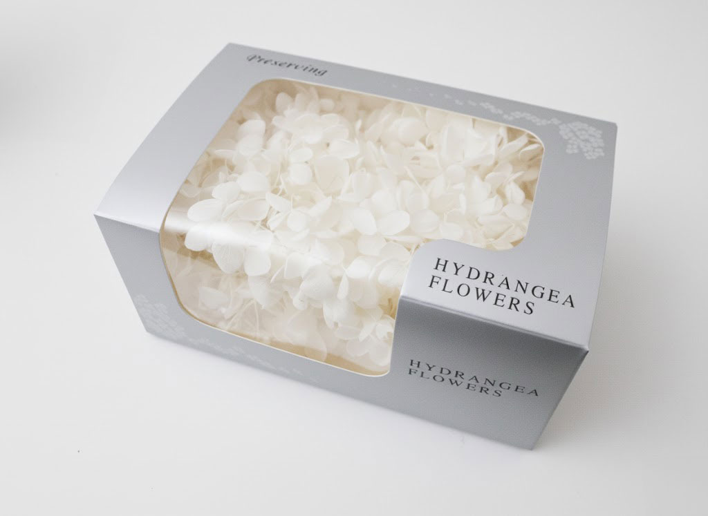 �y�����z�����Я�ޱ�޻�