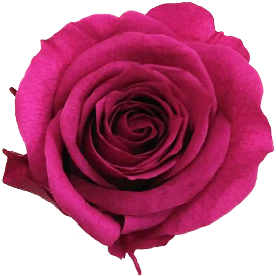 PM  ����(9) �����ذ